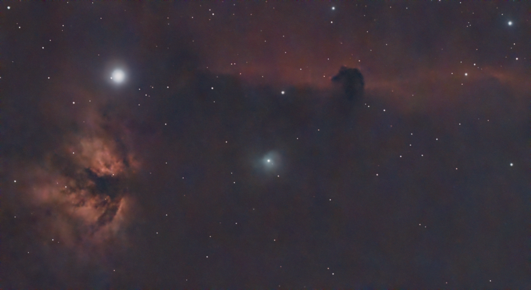 Horsehead and Flame nebulae